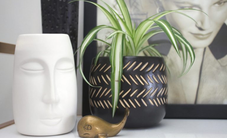 Read more about the article Easy ways to reduce stress and improve mental clarity.